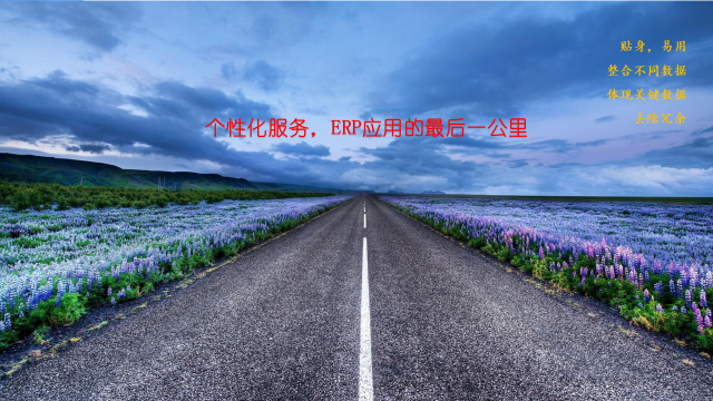 案例展示